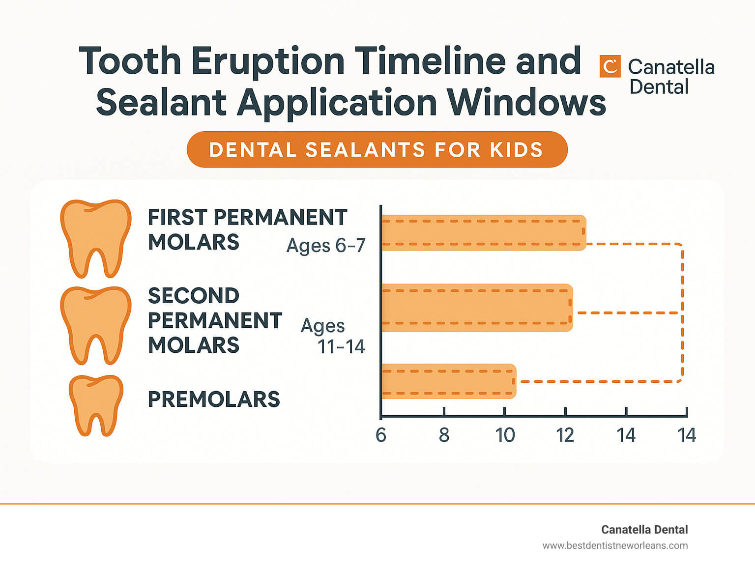 chart showing tooth eruption timeline and optimal sealant application windows - dental sealants for kids infographic chart showing tooth eruption timeline